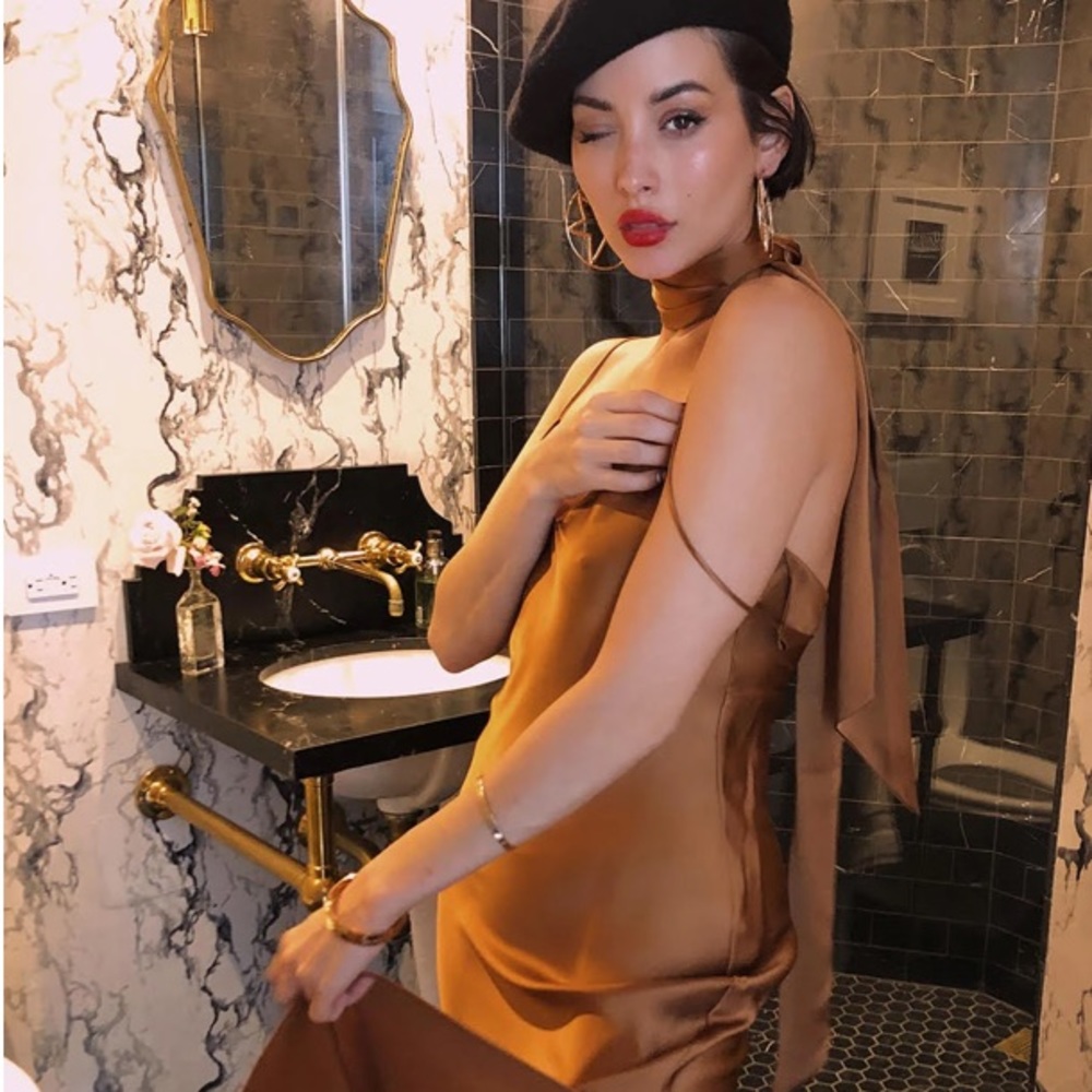 Dannijo copper silk slip dress